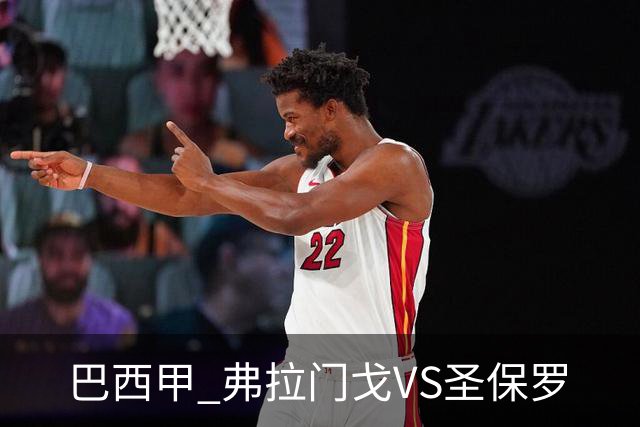 巴西甲 弗拉门戈VS圣保罗