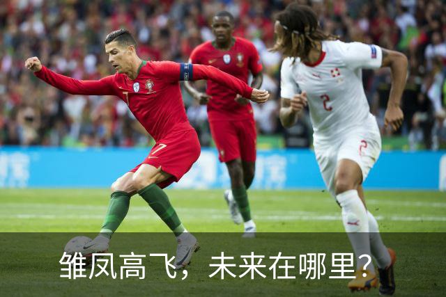 雏凤高飞，未来在哪里？