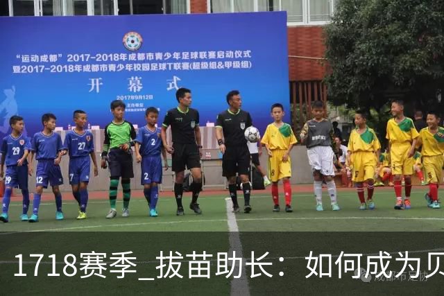 17/18赛季 拔苗助长：如何成为贝林厄姆的队友